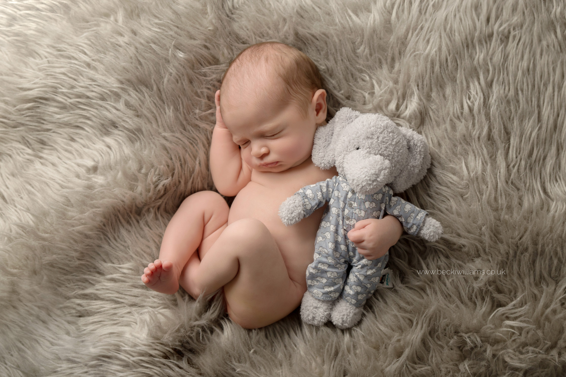 newborn-photo-shoot-hemel-hempstead-toy-elephant.jpg