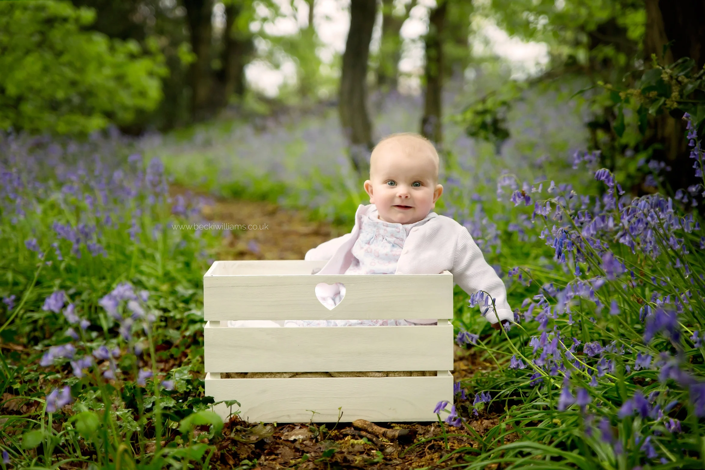 6 momth old girl sitting in a crate in amongst the bluebells in st albans