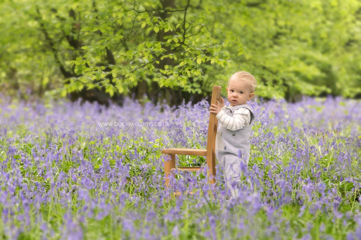 little boy, holding onto the back on chair surrounded by bluebells