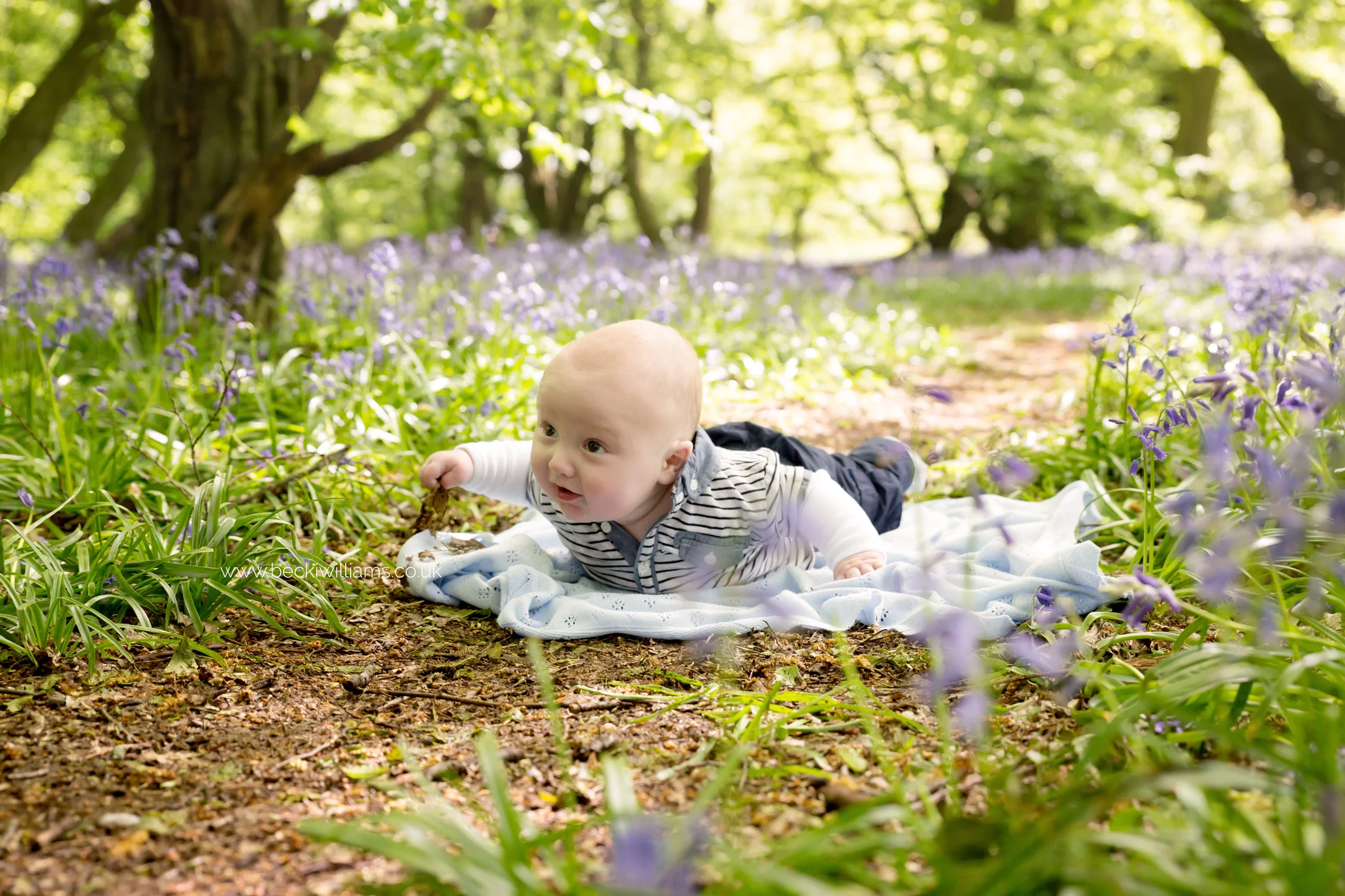 bluebells-st-albans-becki-williams-photography-17.jpg