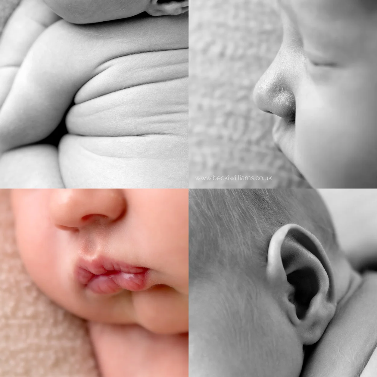 professional close up photos of newborn baby features including back rolls, nose, lp=ips and ear
