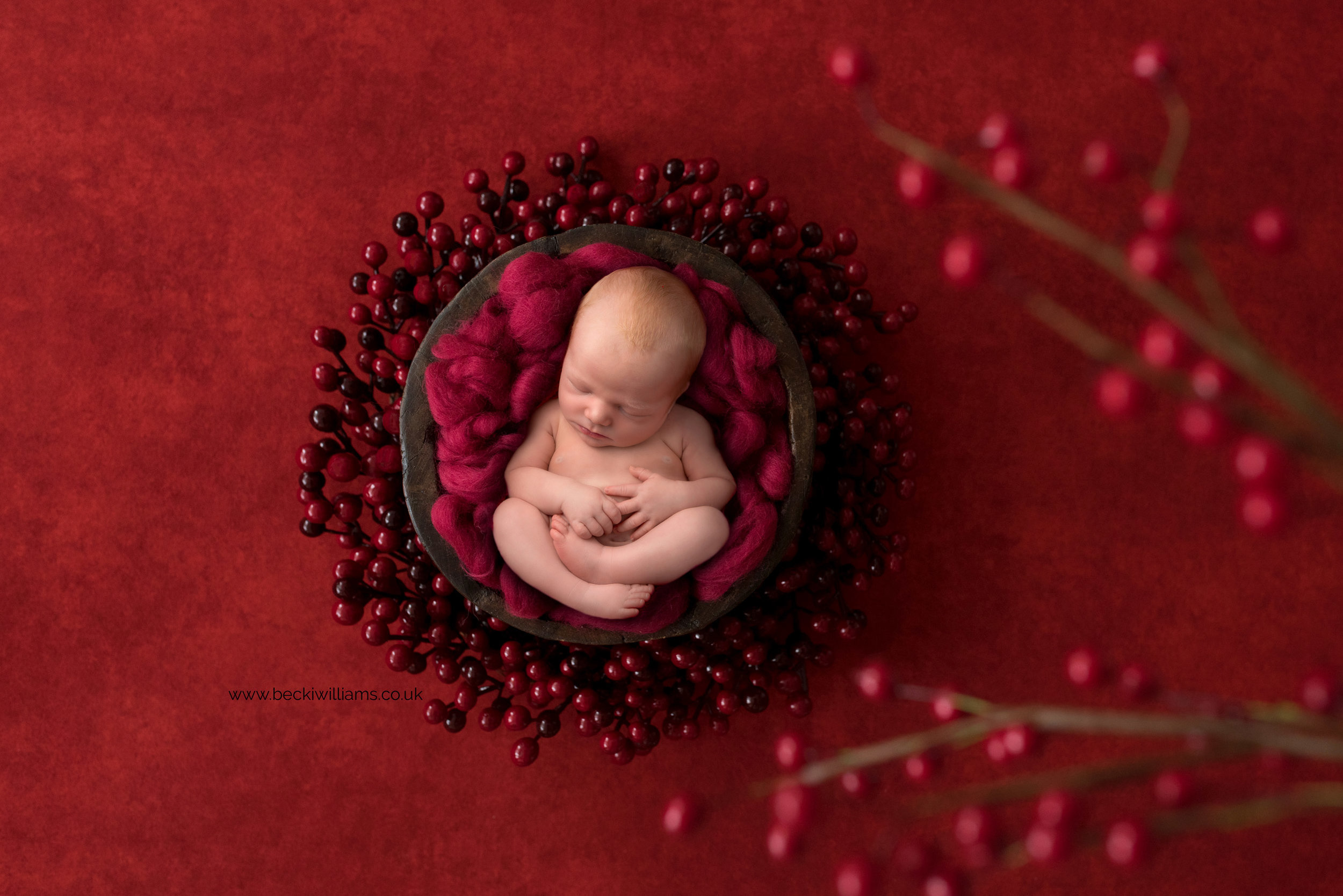 newborn-boy-portraits-hemel-hempstead-christmas-digital-background-red-berries.jpg