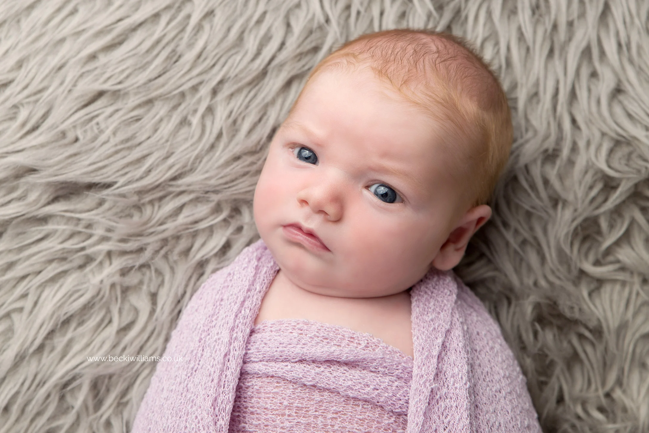 newborn girl wrapped in pink blanket, staring at the camera for her newborn portraits in hemel hempstead