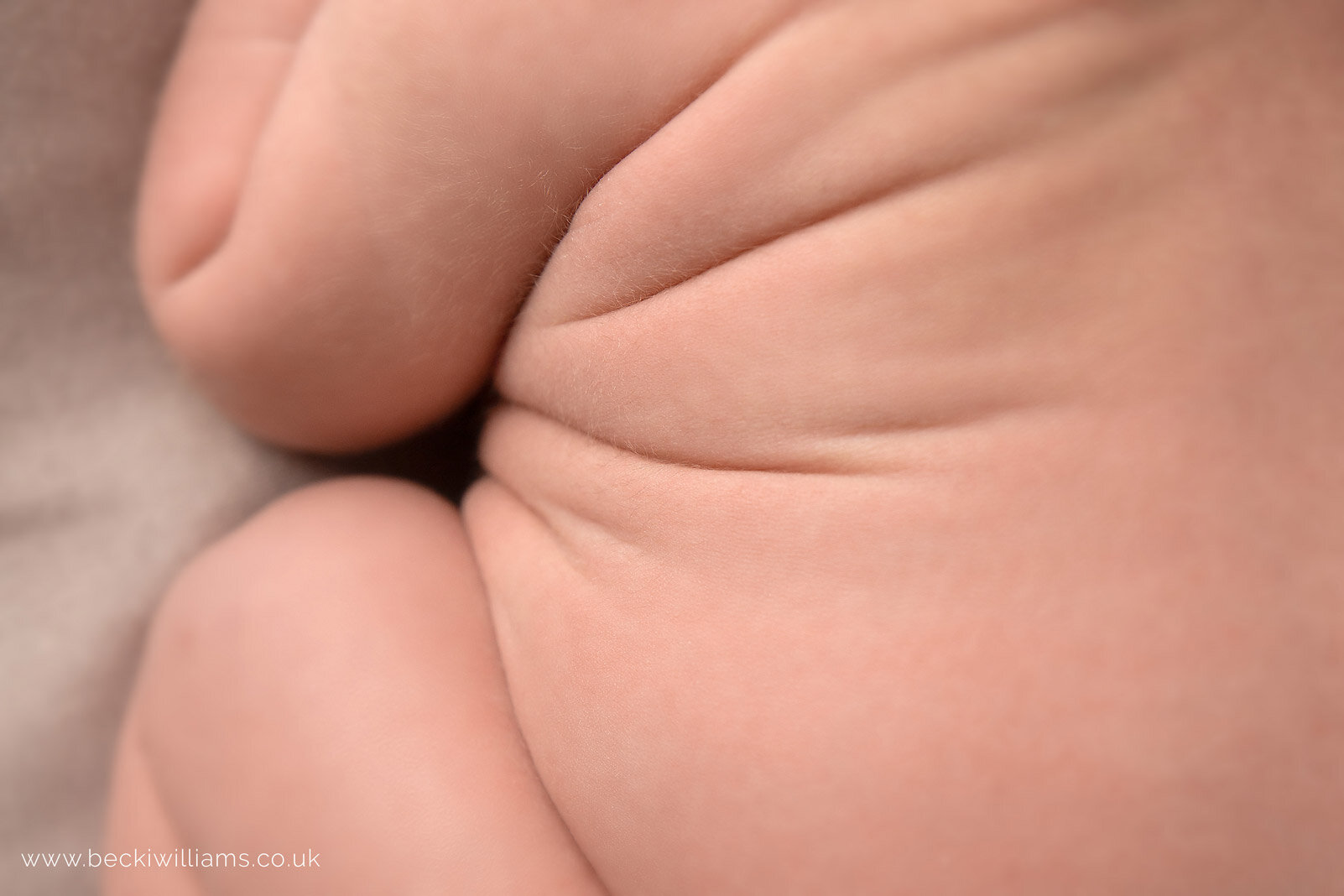 Luton-newborn-photography-studio-9.jpg