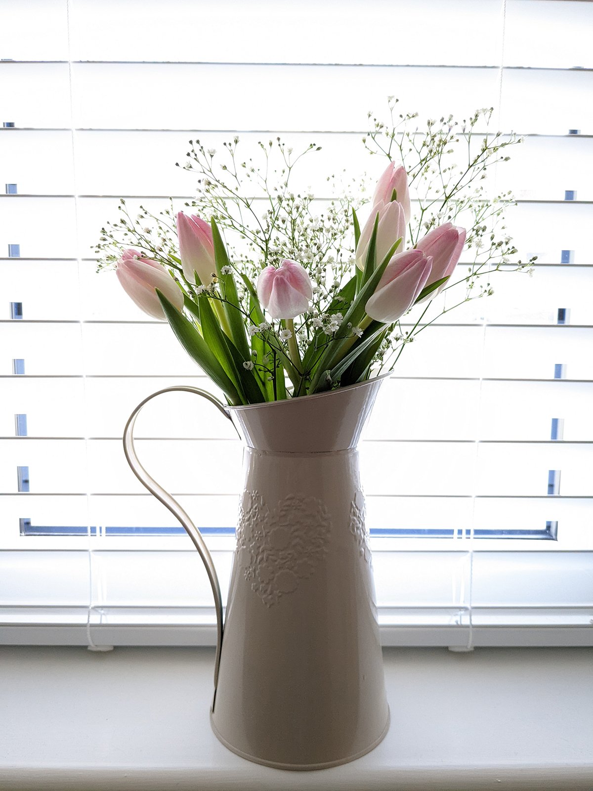 Flowers on show in a photography studio