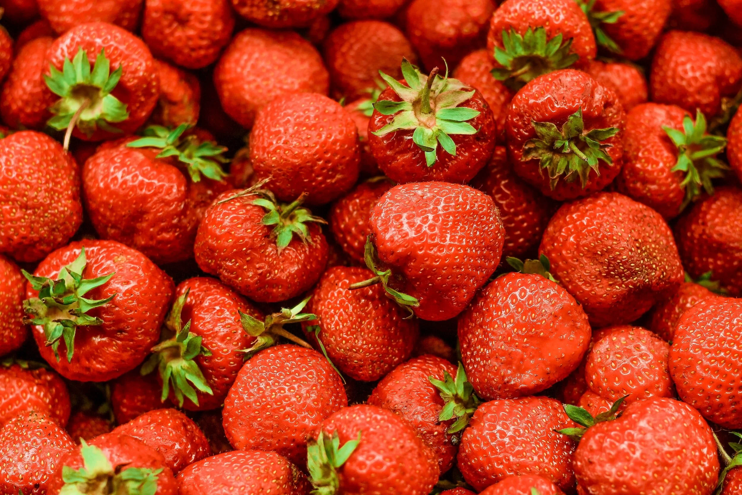Where to Pick Strawberries in Milton Keynes - 2023