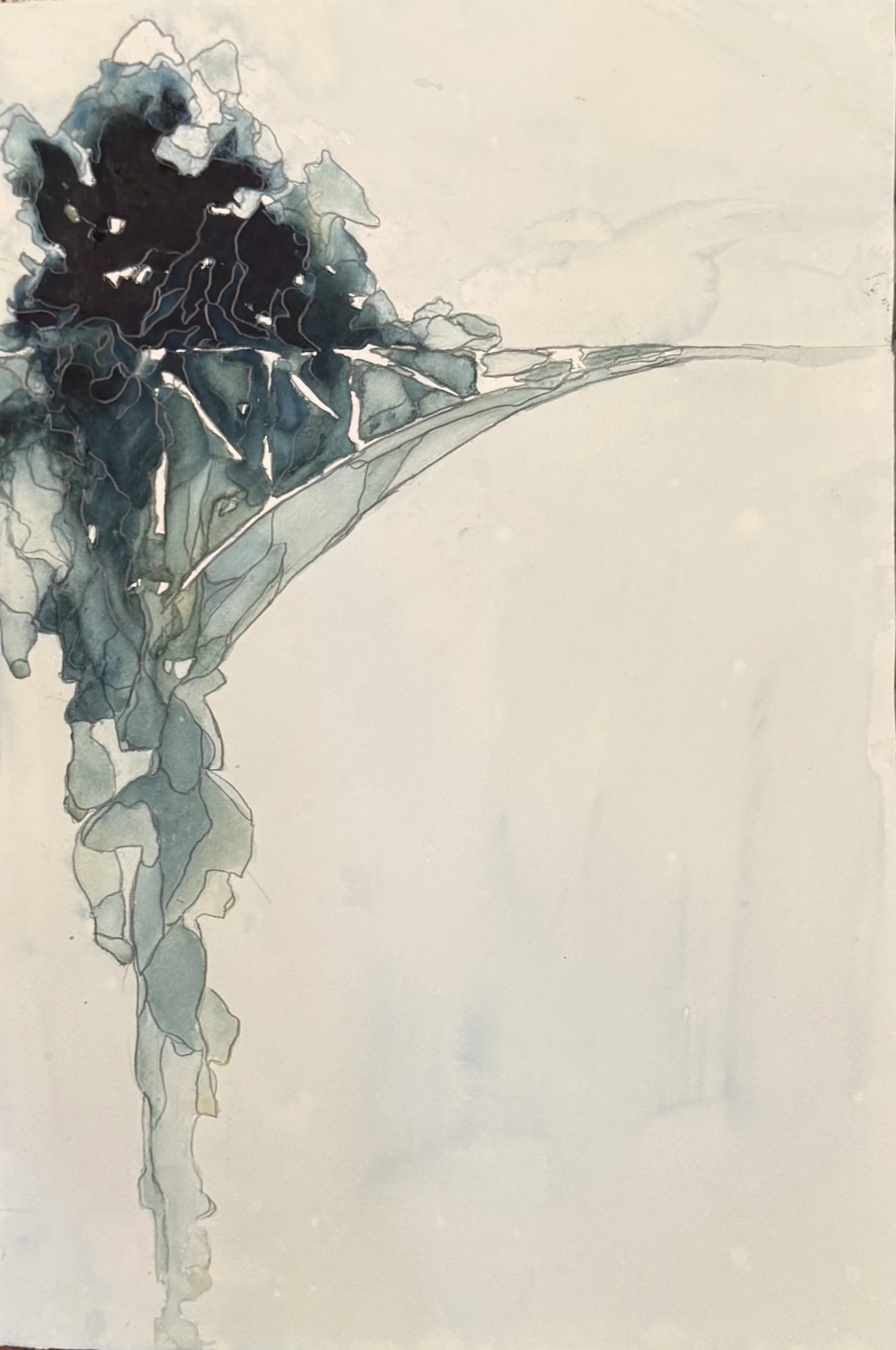 Marc van der Leeden - ¨Quechee Gorge Study # 5¨