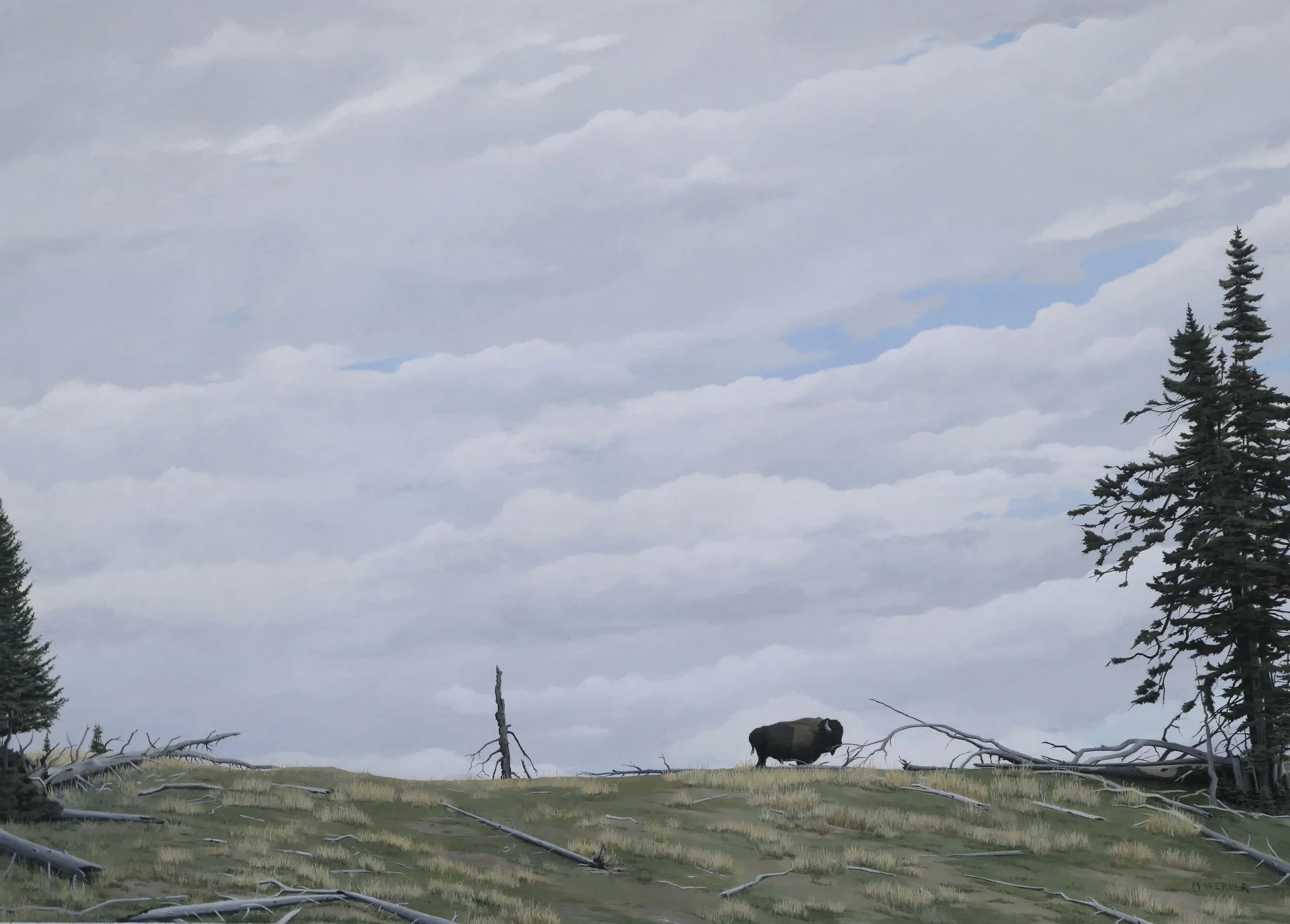L1020198 2.JPG