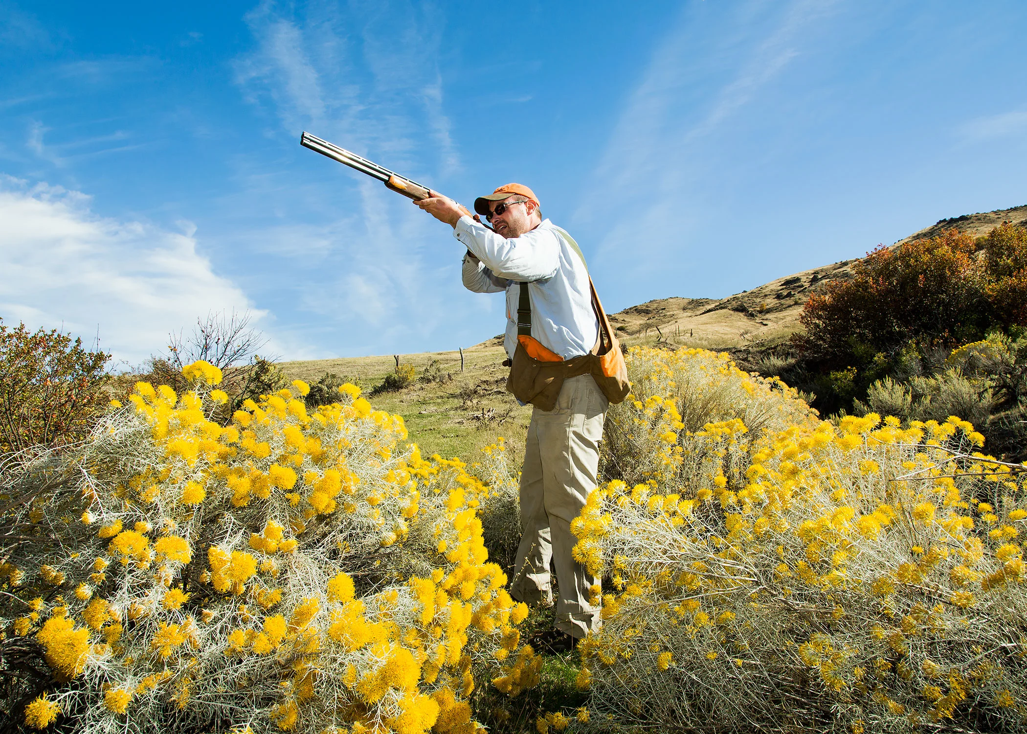 Upland fall bird hunting in central Idaho for Field & Stream