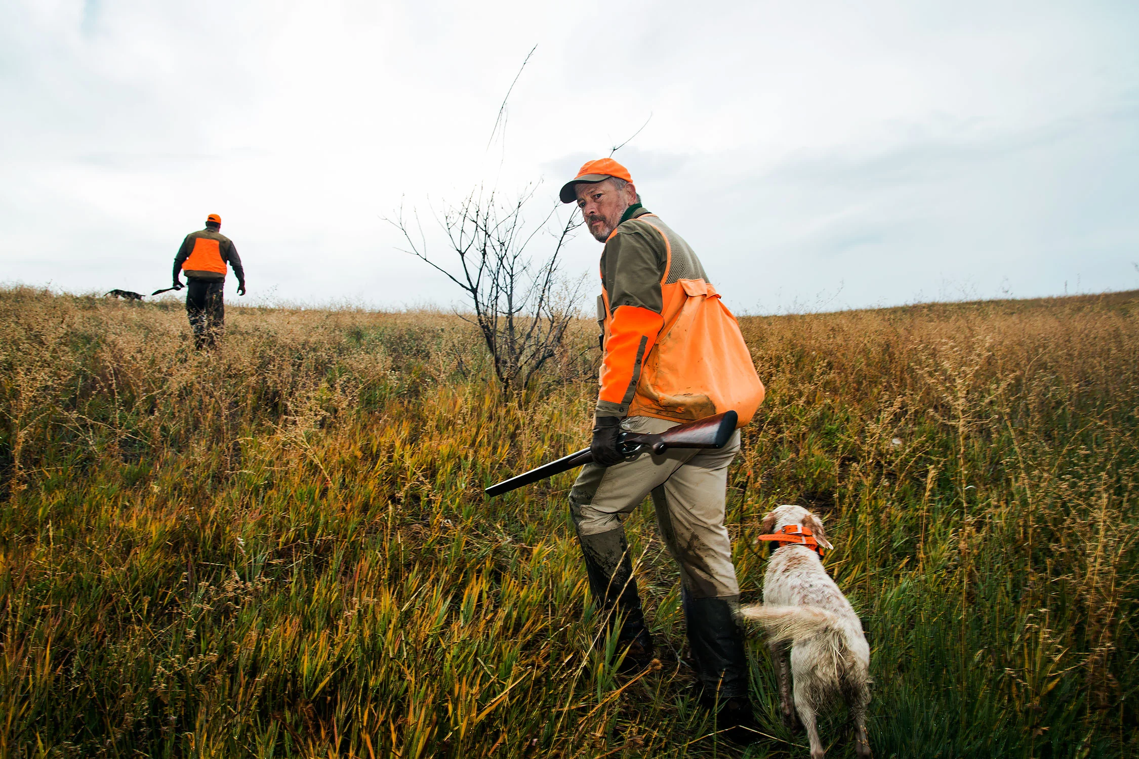 Upland fall bird hunting in central Idaho for Field & Stream