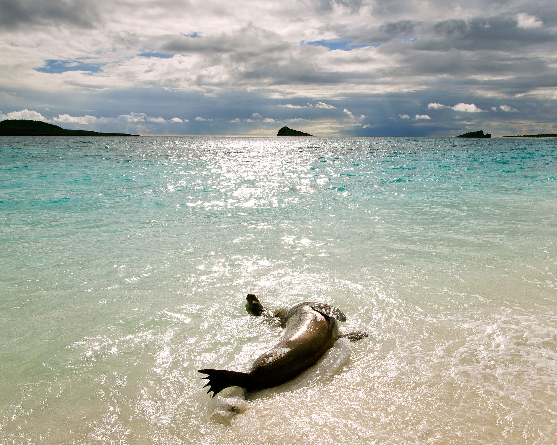 20090403_Galapagos_0613.jpg