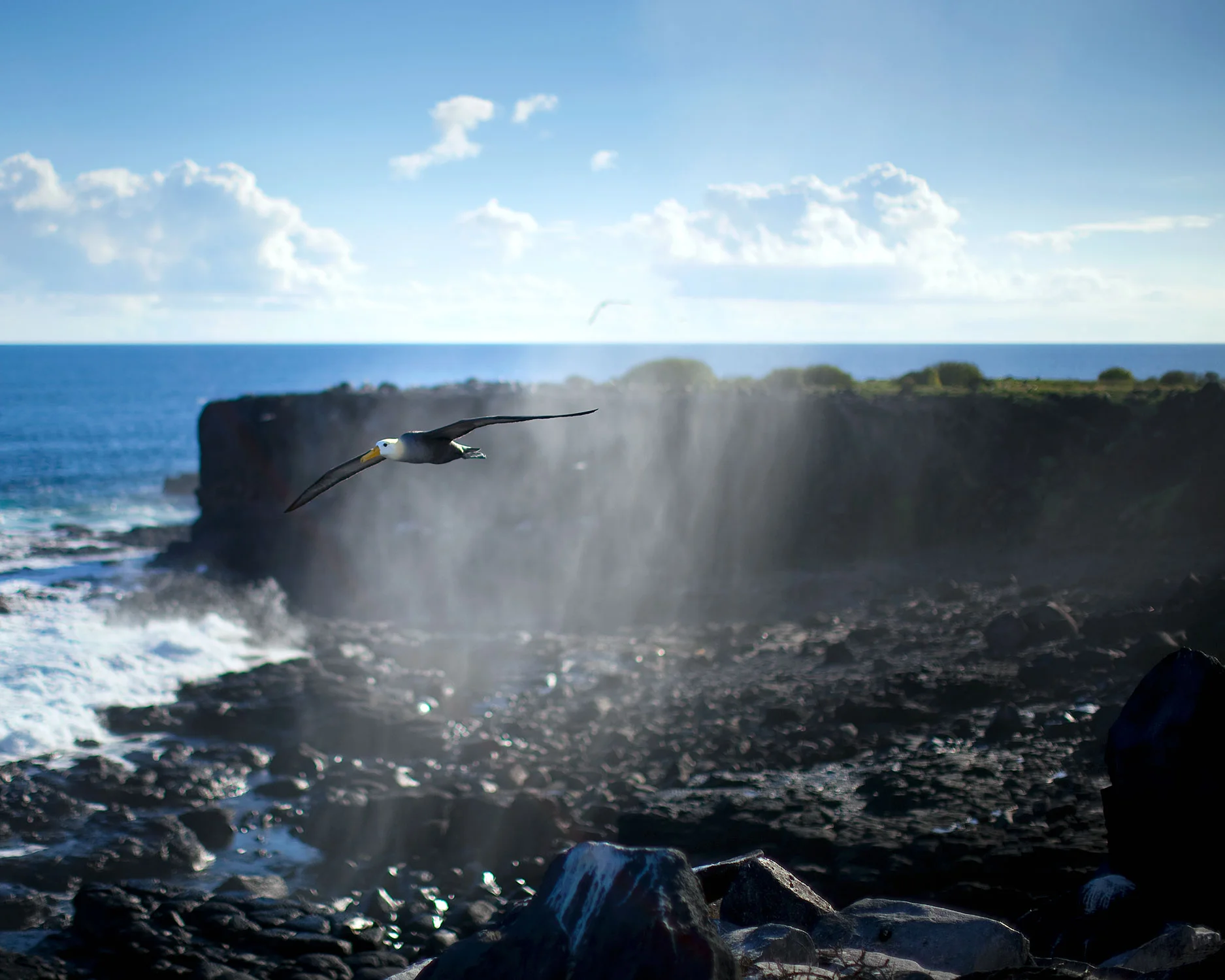 20090403_Galapagos_1035.jpg