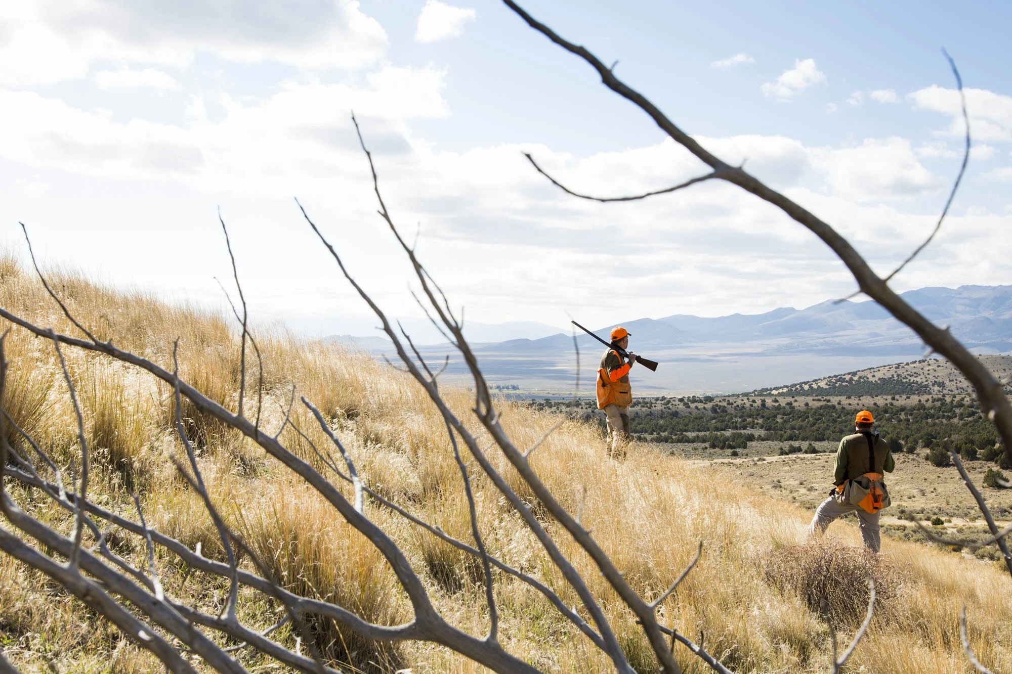Upland fall bird hunting in central Idaho for Field & Stream