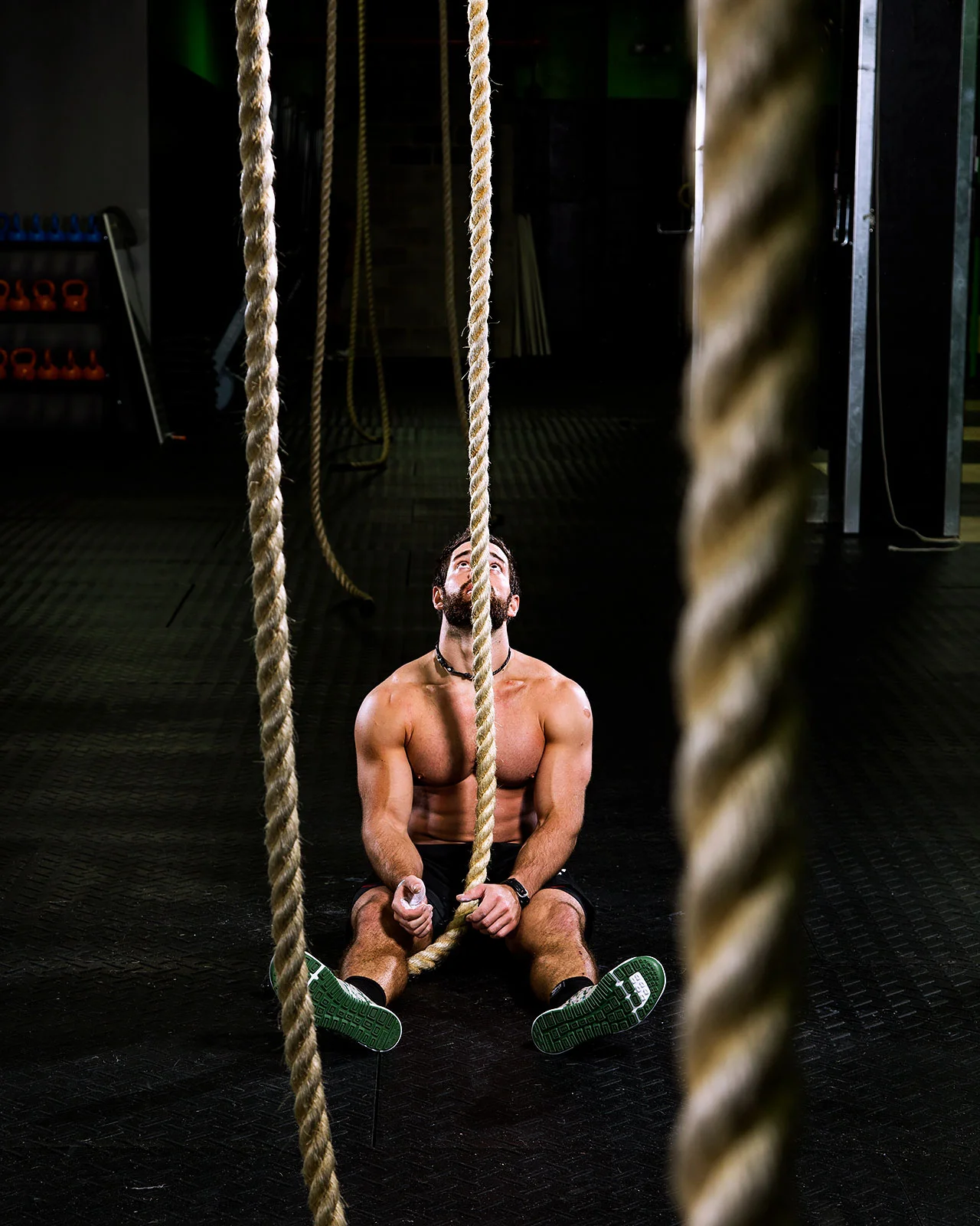20121113_Froning_334.jpg
