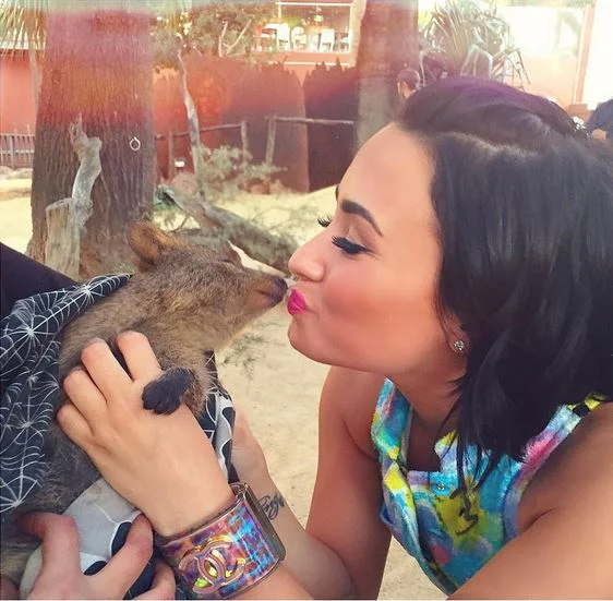@ddlovato Instagram