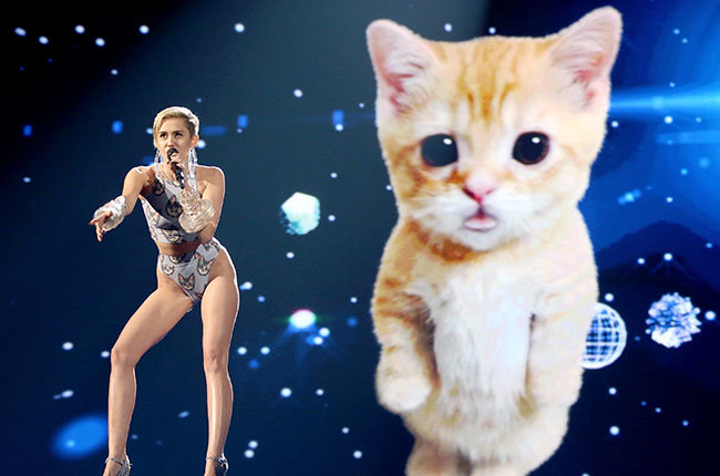 Miley Cyrus & Her Cat in 2013 Miley Cyrus performs onstage during the 2013 American Music Awards at Nokia Theatre L.A. Live on November 24, 2013 in Los Angeles, California.