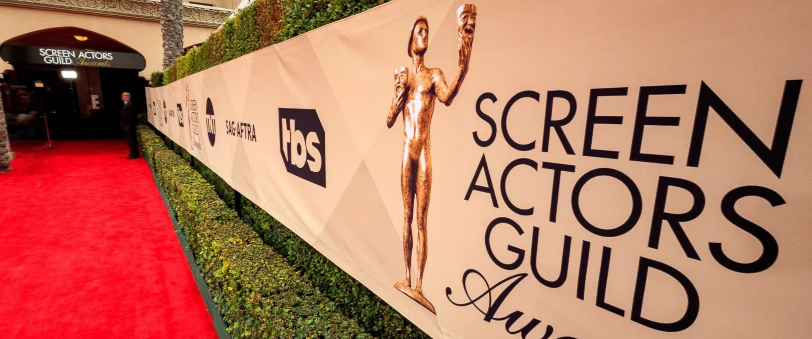  JOLIEGAZETTE BEST DRESSED FROM SAG AWARDS 2017