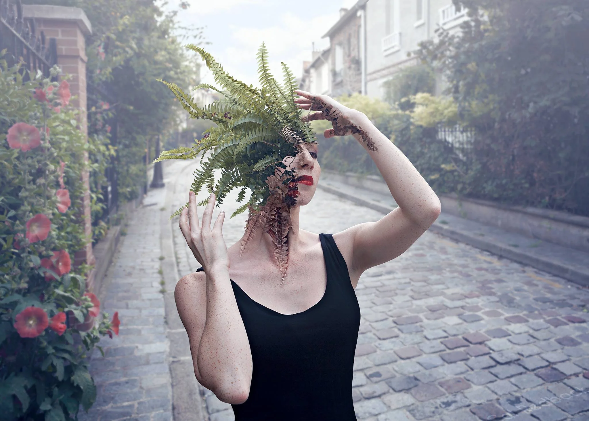 Cal Redback Art — GAZETTE DU BON TON