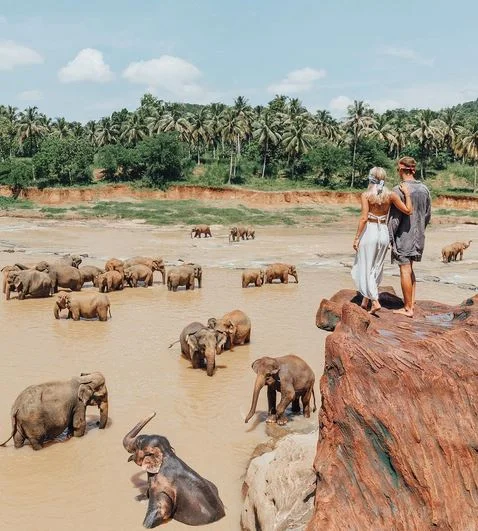Instagram-famous travel blogging couple with Six-figure salaries.