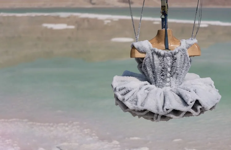 Sigalit Landau: SALT YEAR'S 