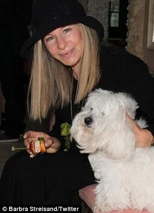 Calma Your Drama, Barbara Streisand cloned her dog