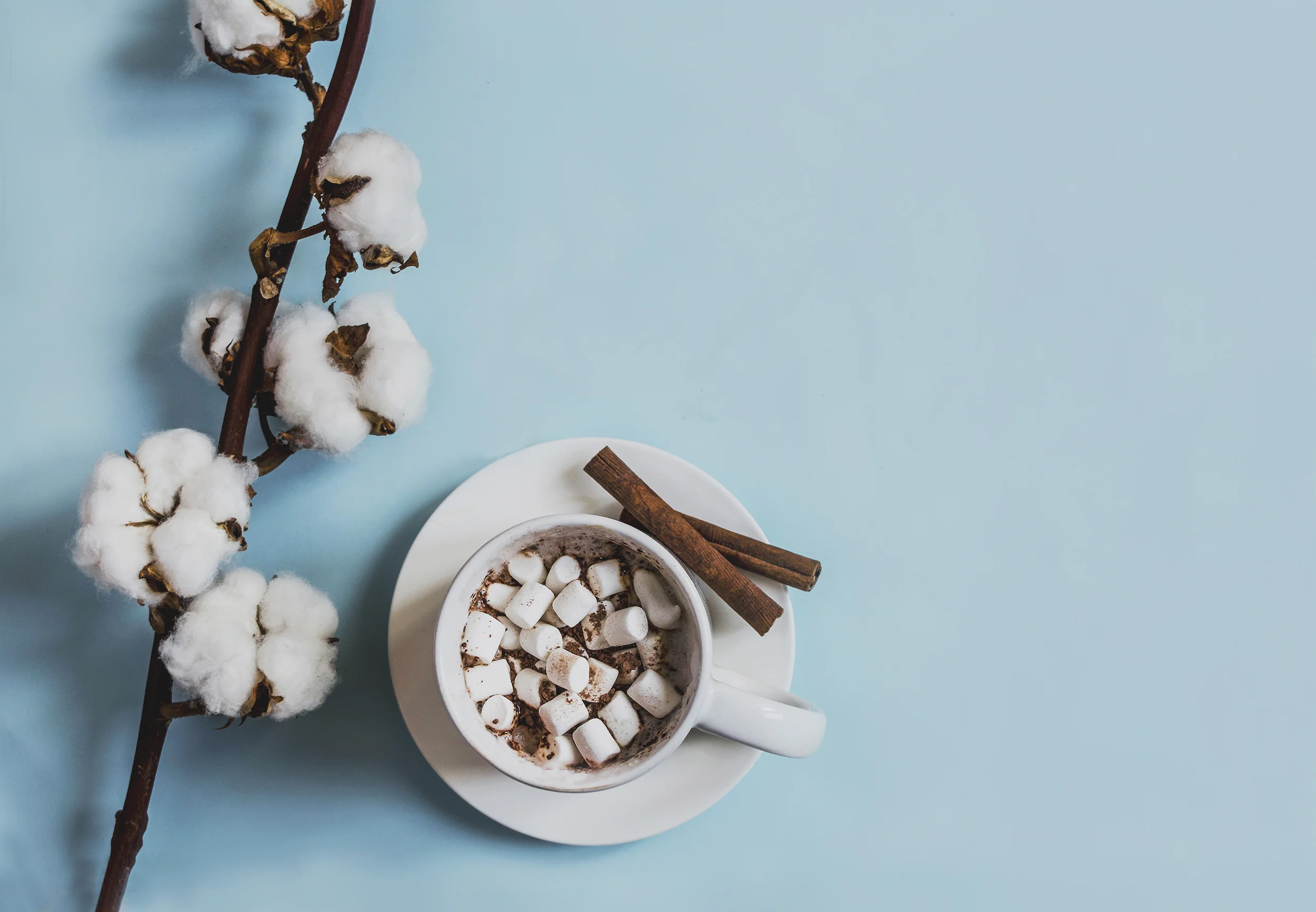 spring cup coffee