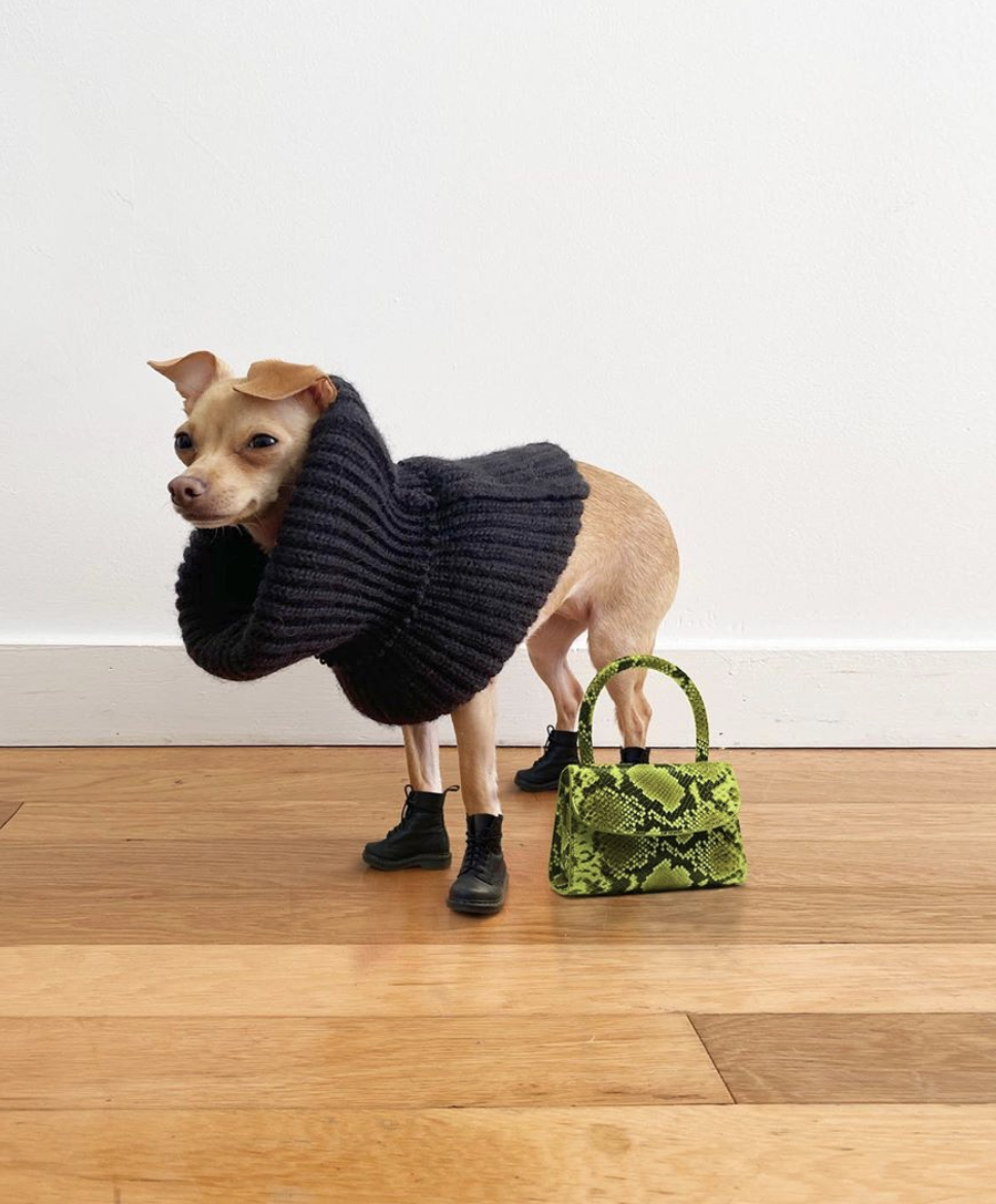 Boobie Billie - Instagram's Latest Star With An Impeccable Style.