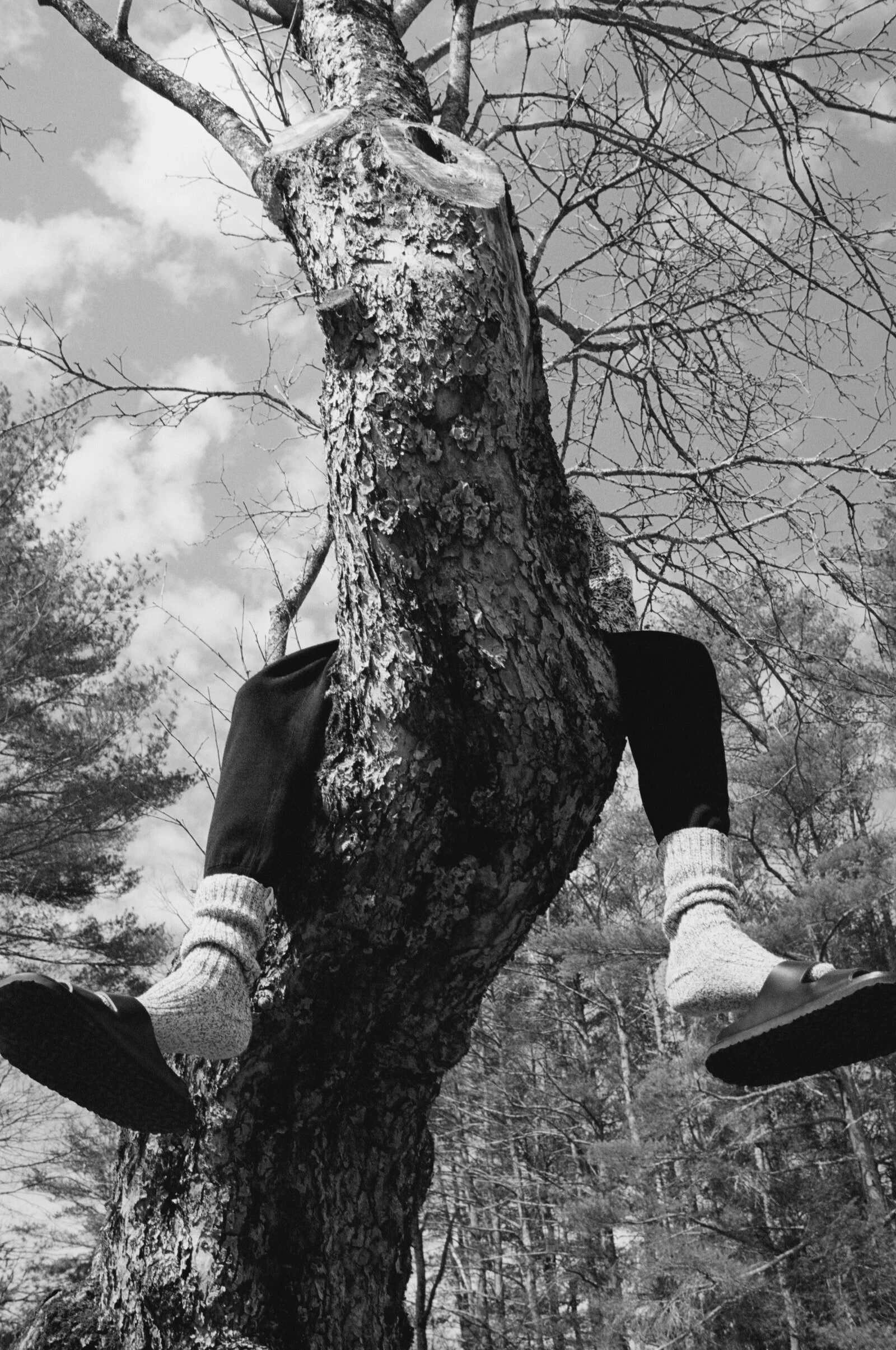 Jil Sander x Birkenstock Collaboration