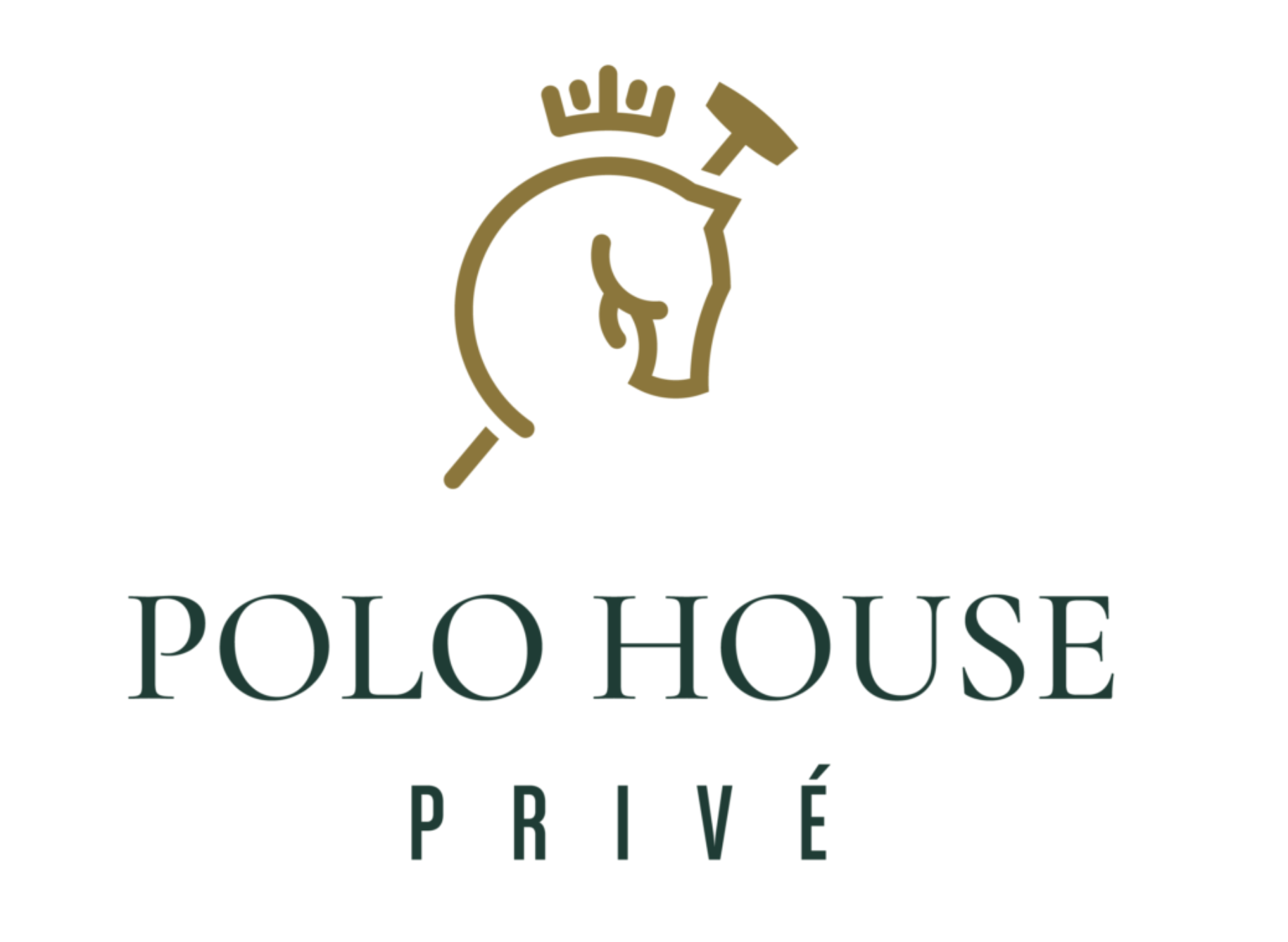 Icon Global Polo Tour: A New Era of Luxury Polo Events Begins in the Hamptons
