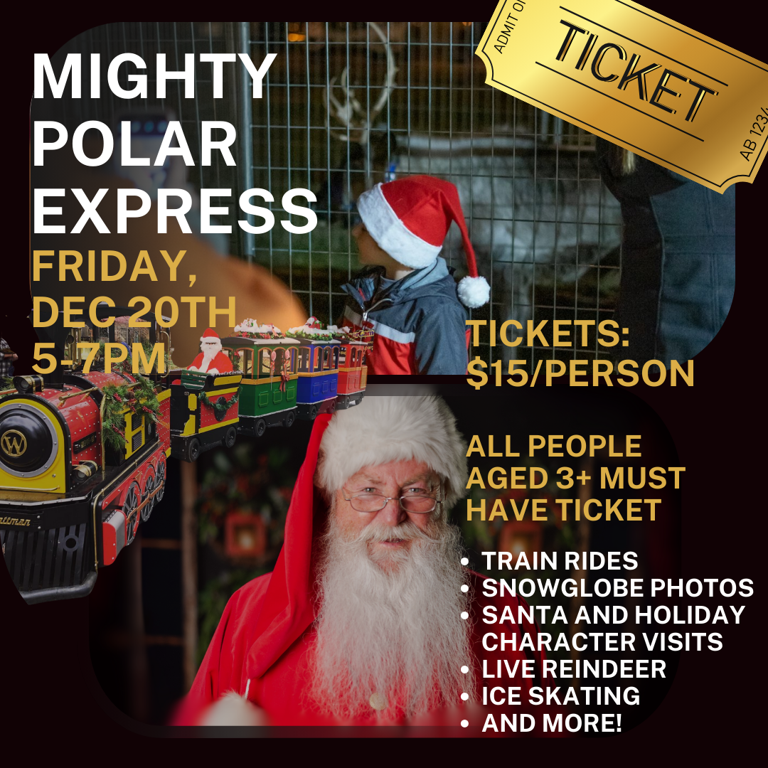 Polar Express! 