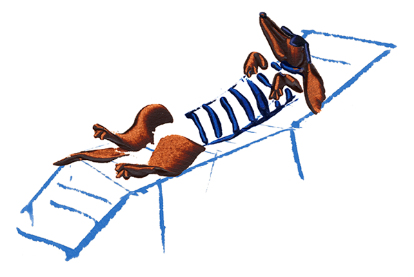 dog-mr-21.png