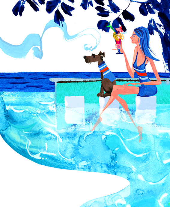 dog-mr-7.png