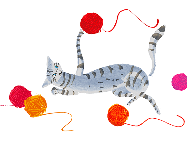 cat-mr-4.png