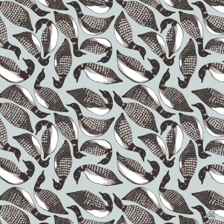 et2015_16_pattern_commonloon.png