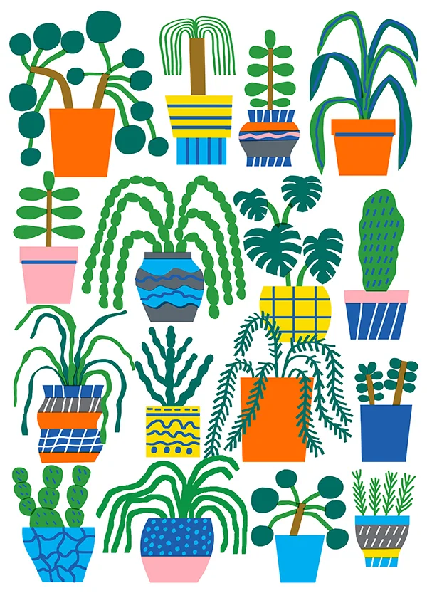 Oakley Plants.jpg