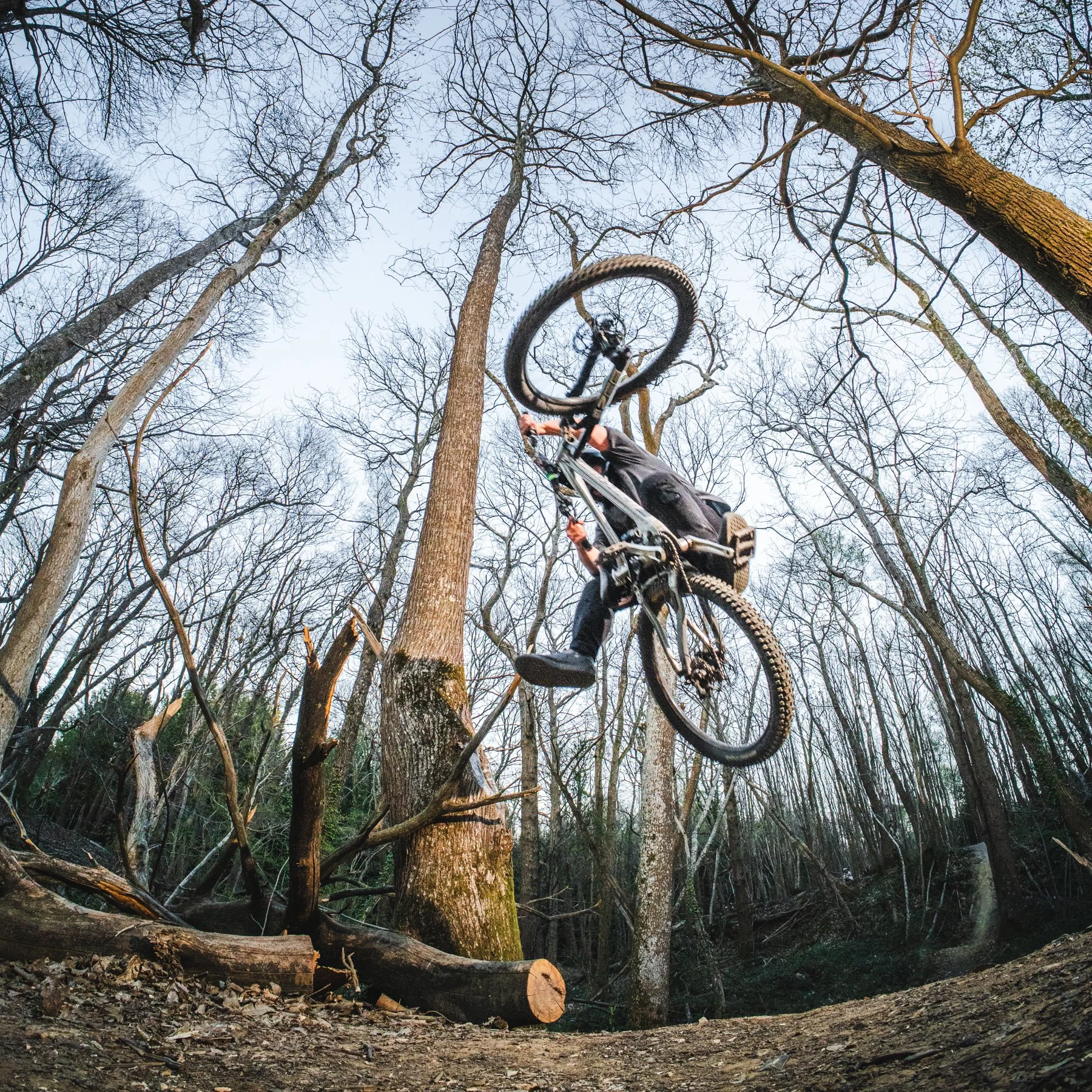 SLINDON DUST 8-4-25 214.jpg