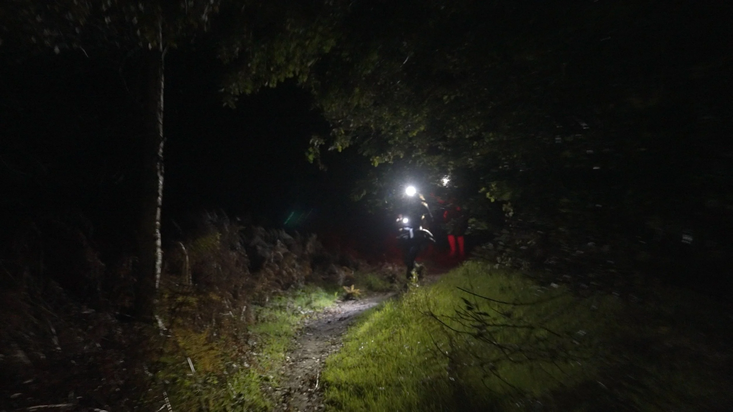 Still 2026-02-28 131205_2.4.1.jpg