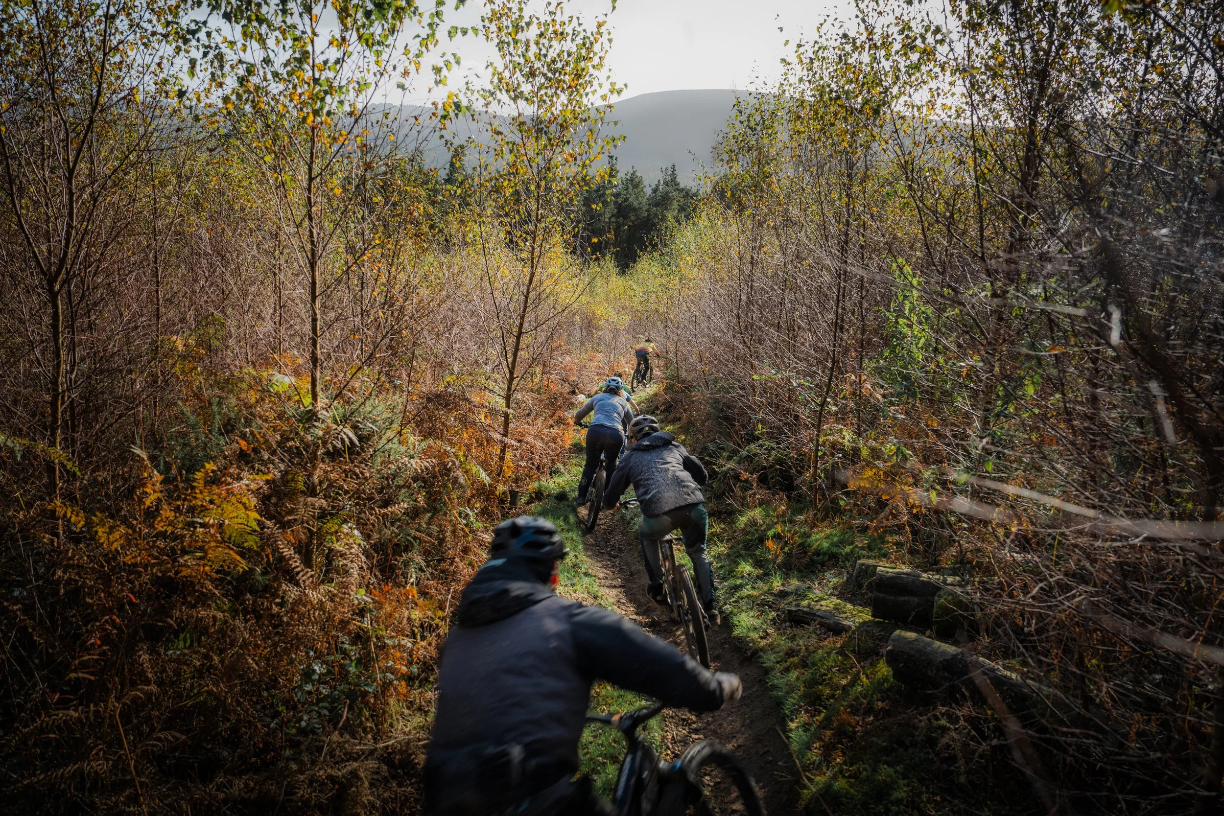 _DSC4953-Edit WEBSIZE.jpg