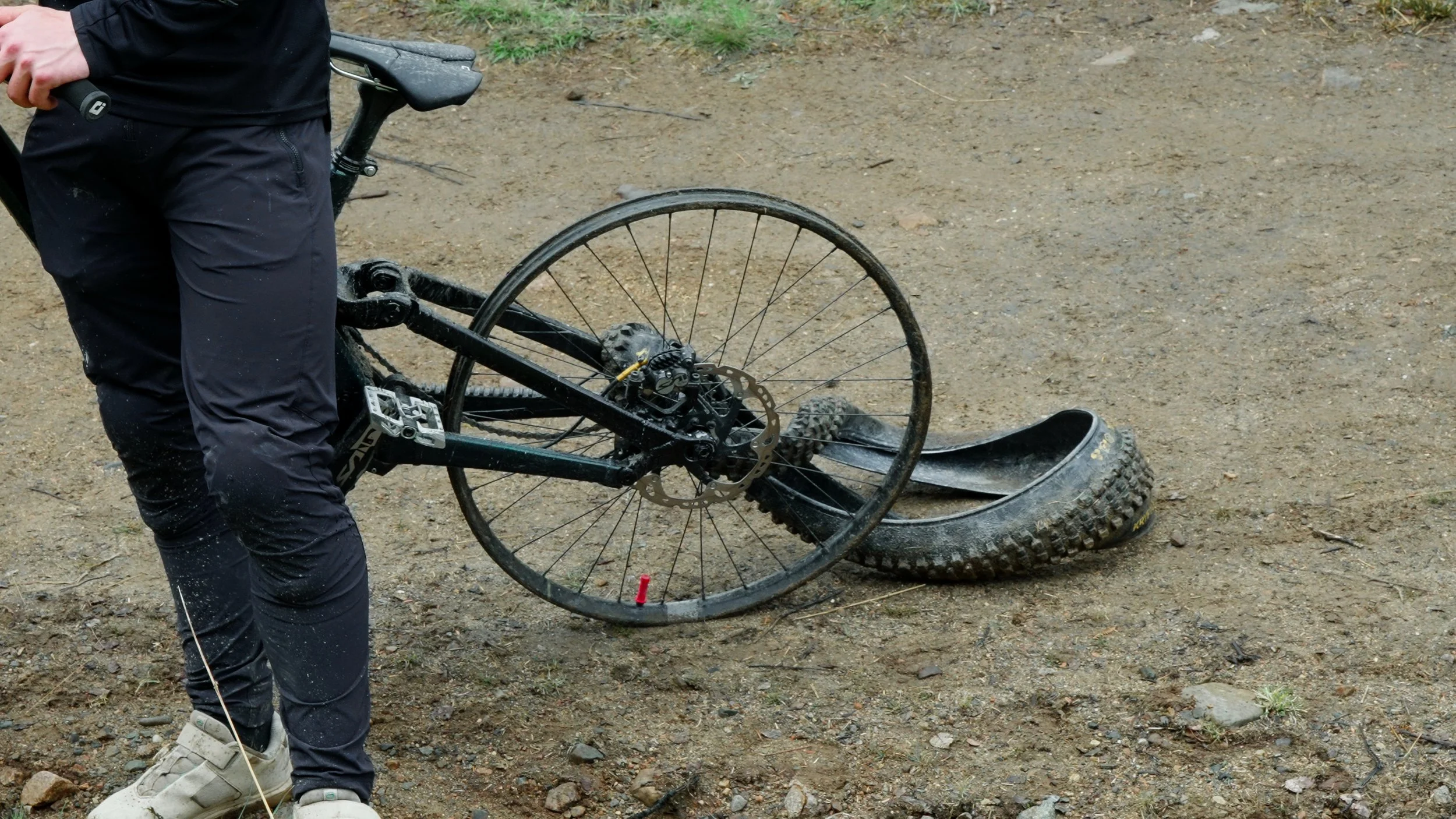 Still 2026-02-28 113242_2.89.1.jpg