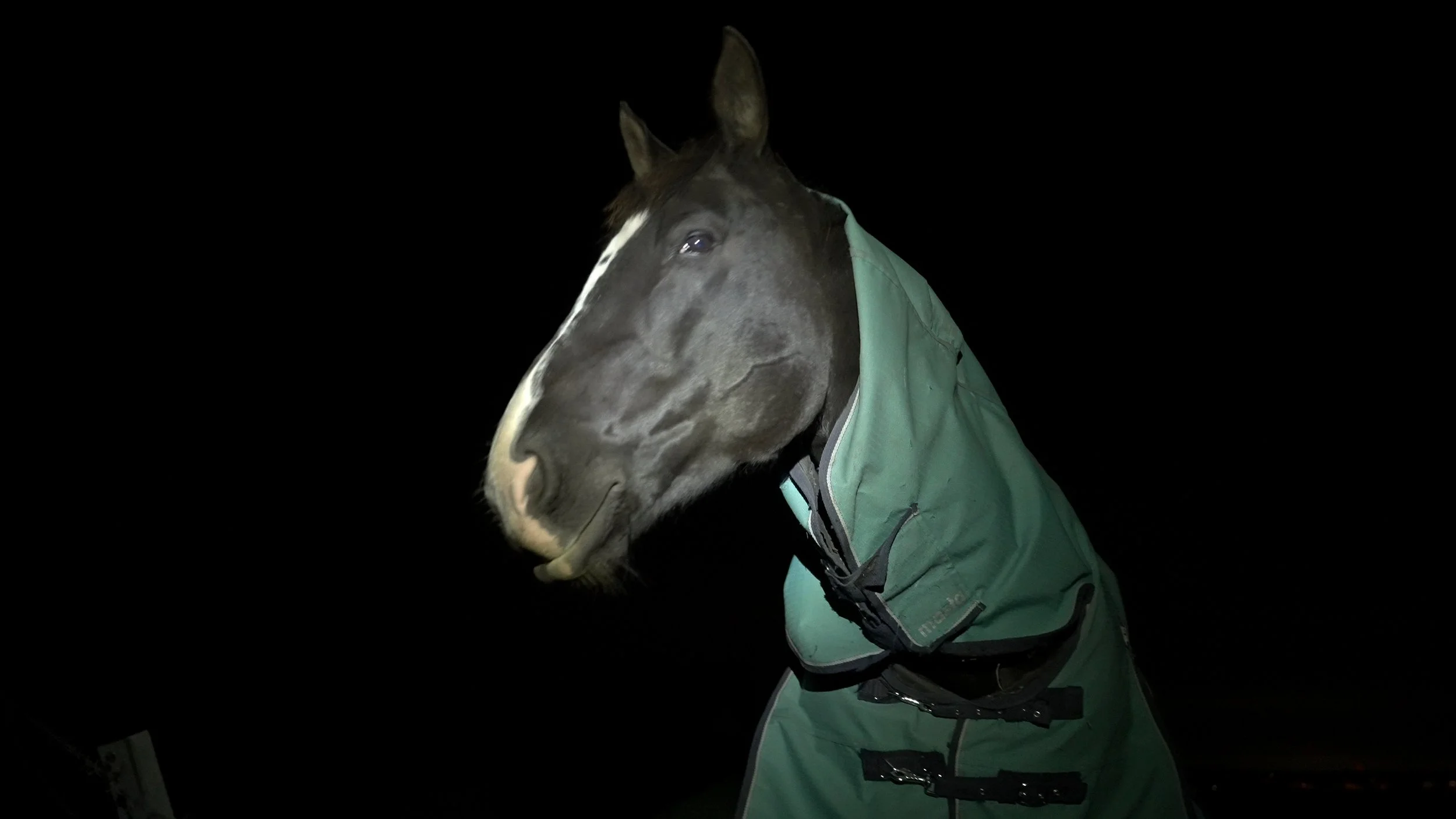 Still 2026-02-28 131205_1.16.1.jpg