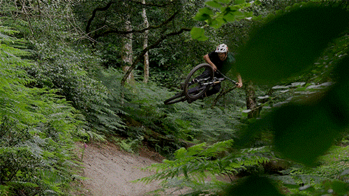 ORBEA-WHIP00087004.gif