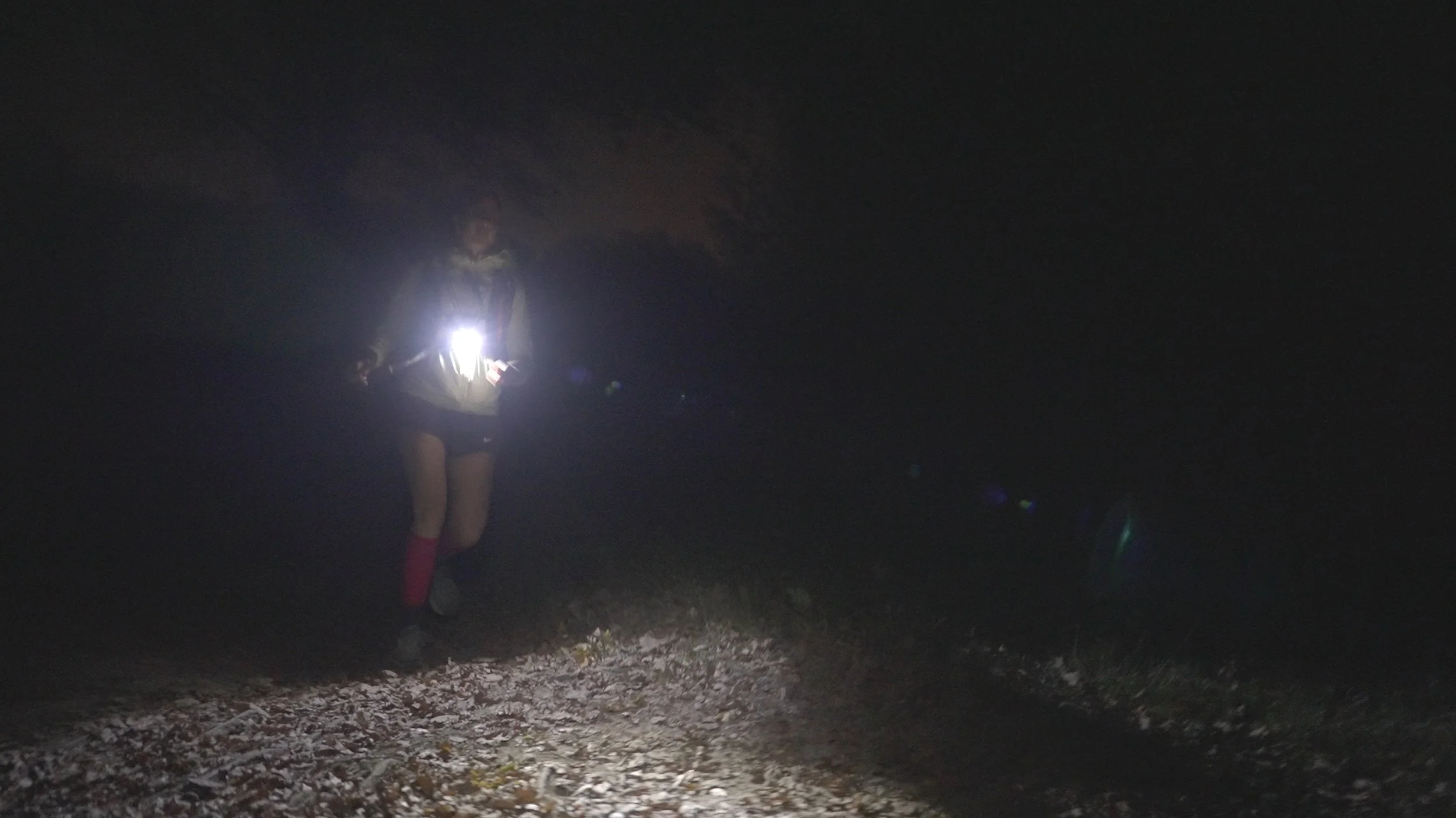 Still 2026-02-28 131205_1.3.1.jpg