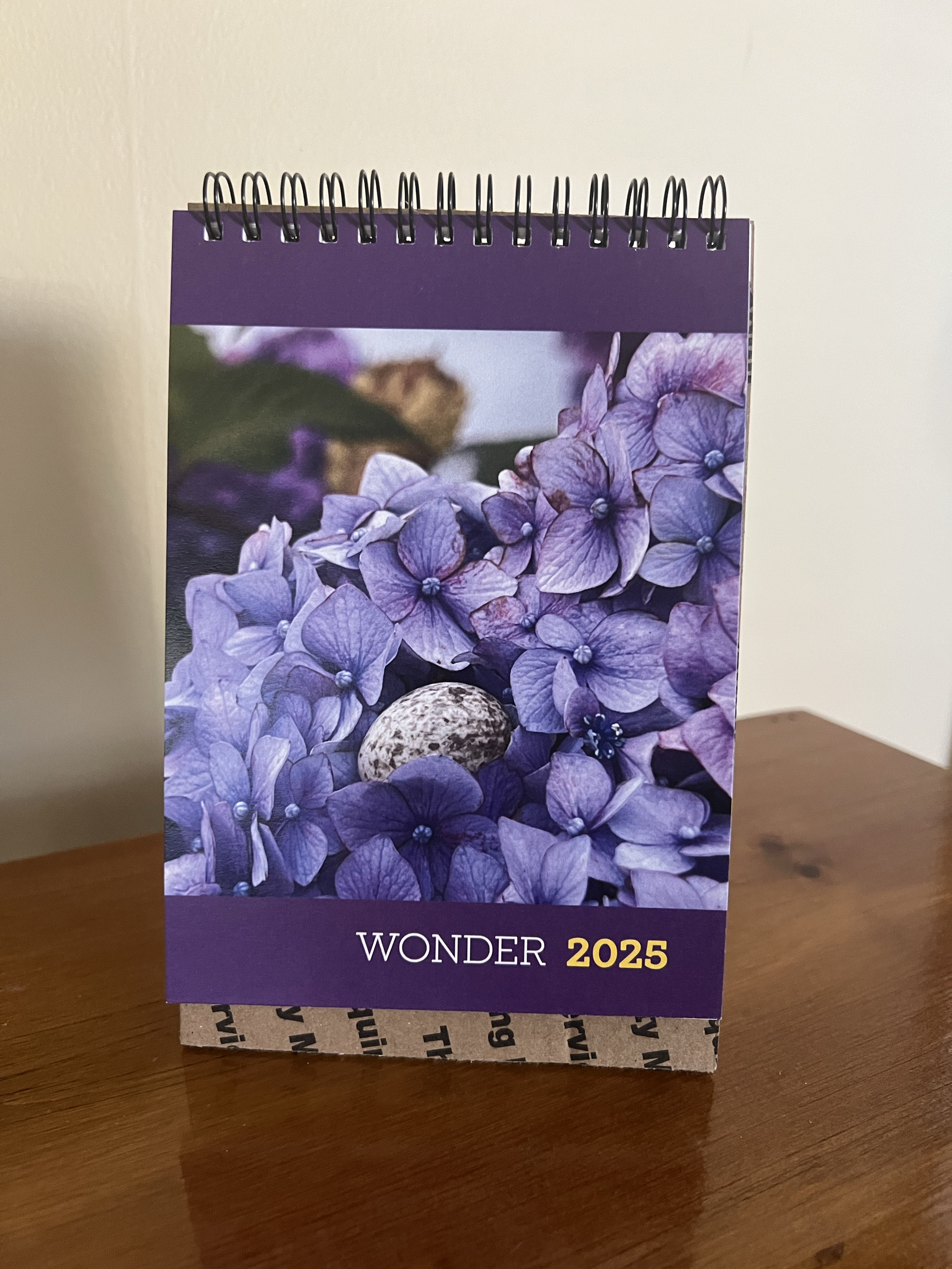 WONDER