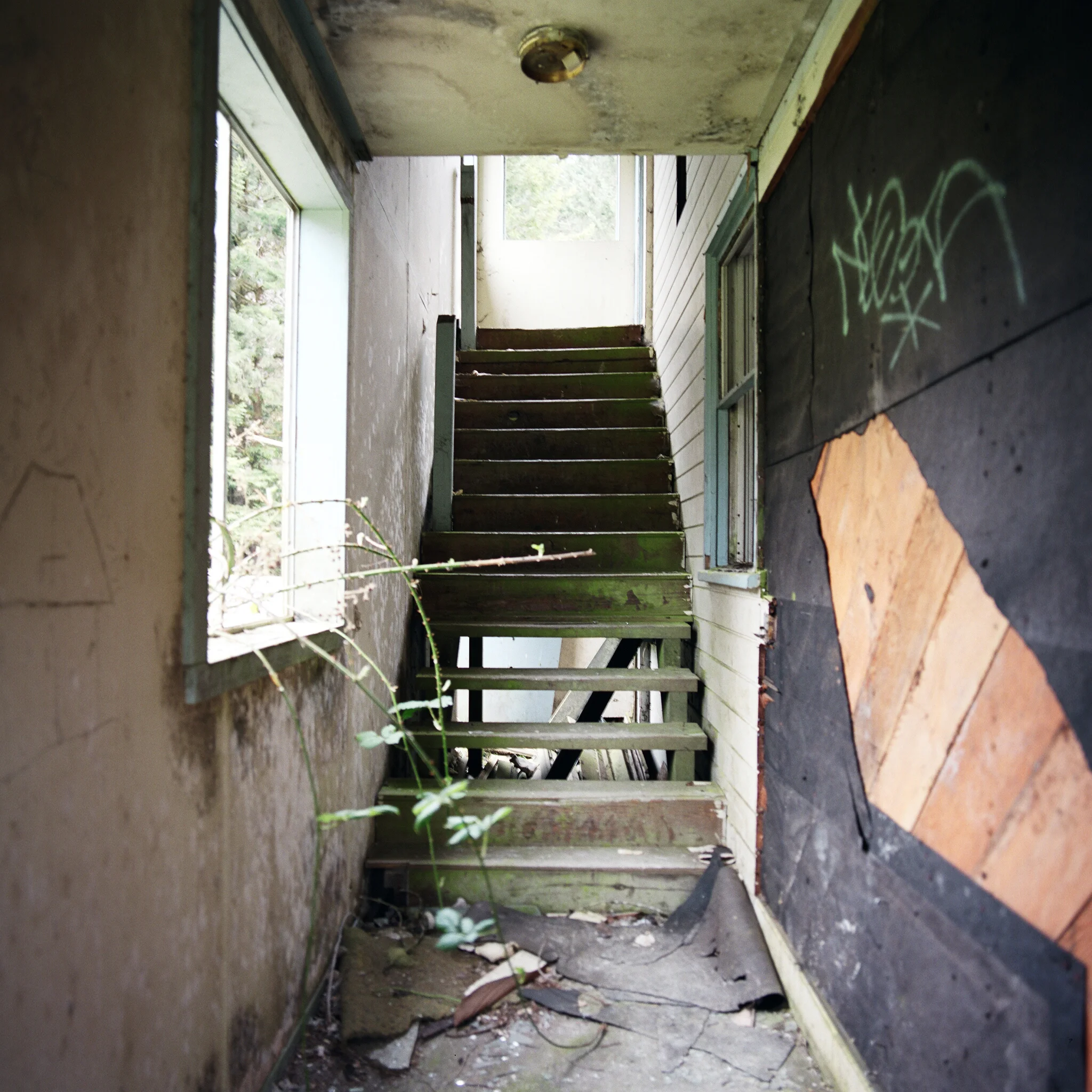 scene003.jpg
