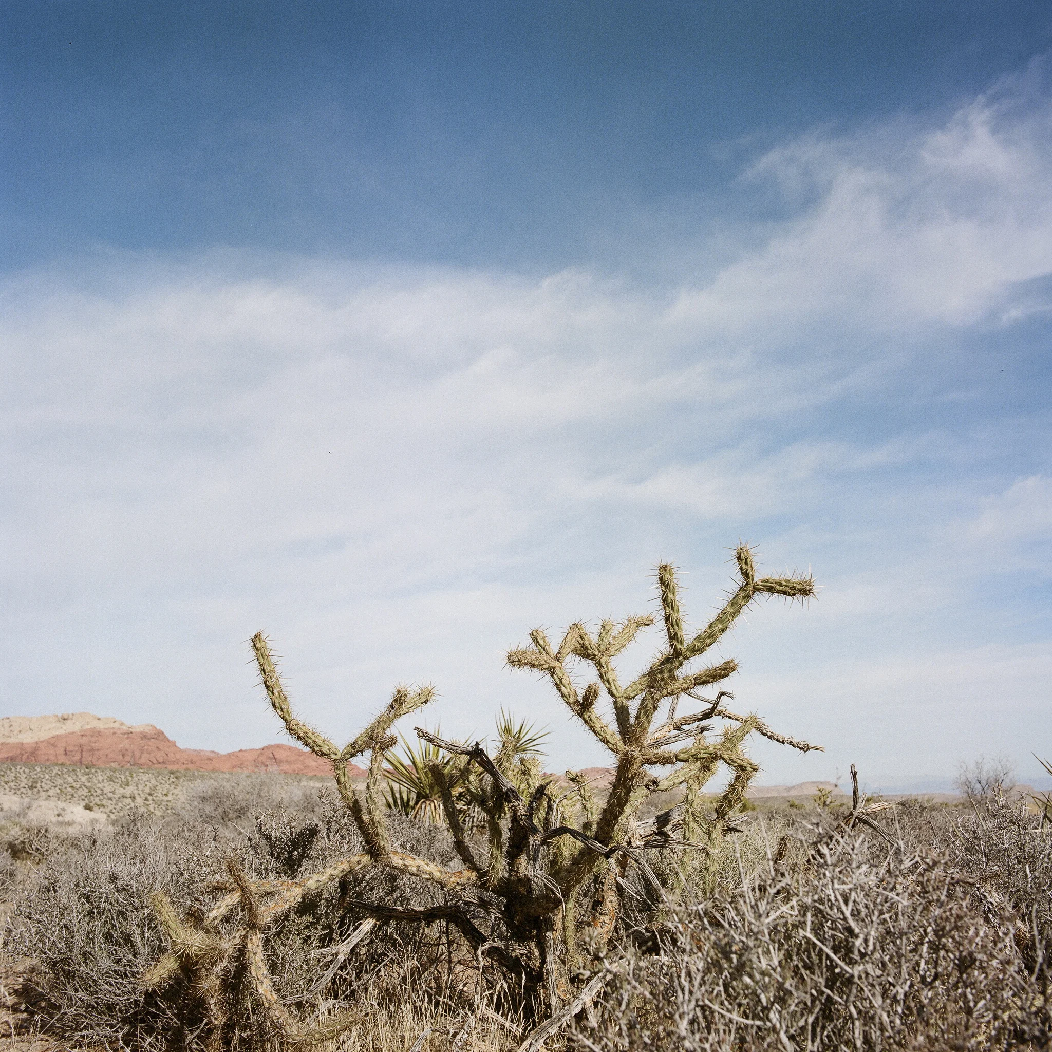 scene026.jpg
