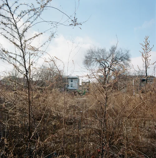 Walking around the neighborhood