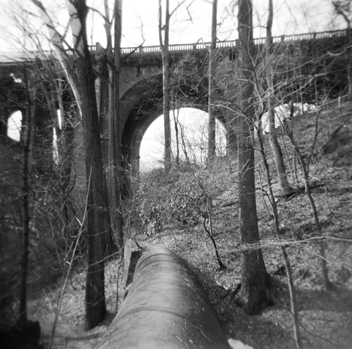 March 2k10 Holga photos