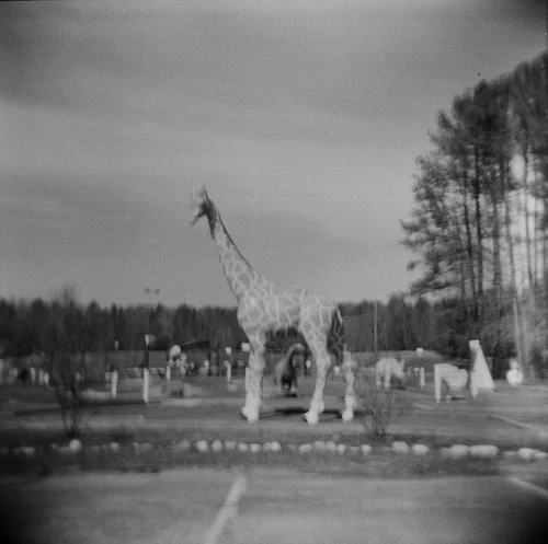 Holga photos... broken