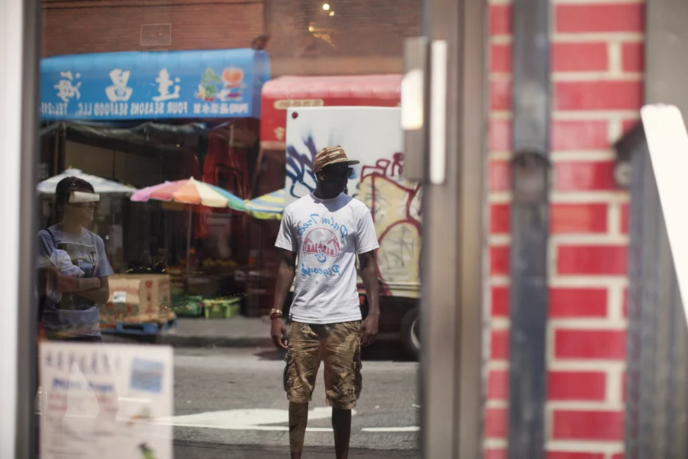 Abakus Palm Trees and Pigeons