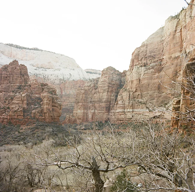 Zion National Park